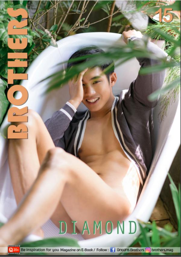 Brothers-Vol.15---Diamond